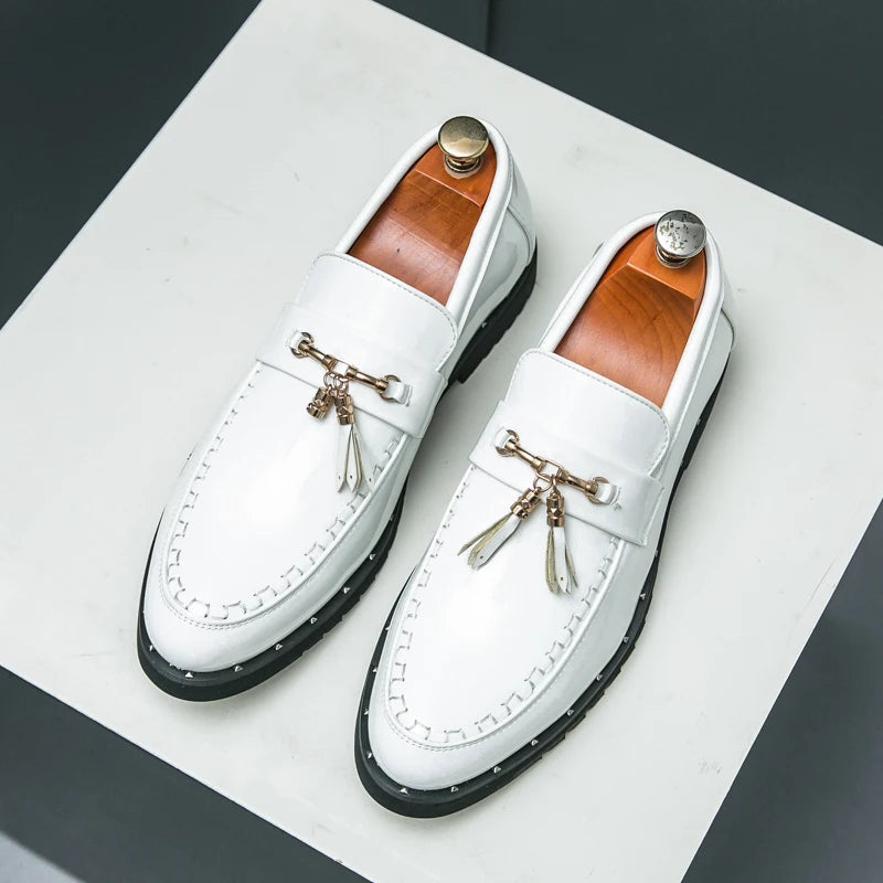 Loafers Tassel Fashion Leather Casual Shoes for Men