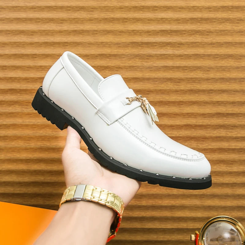 Loafers Tassel Fashion Leather Casual Shoes for Men