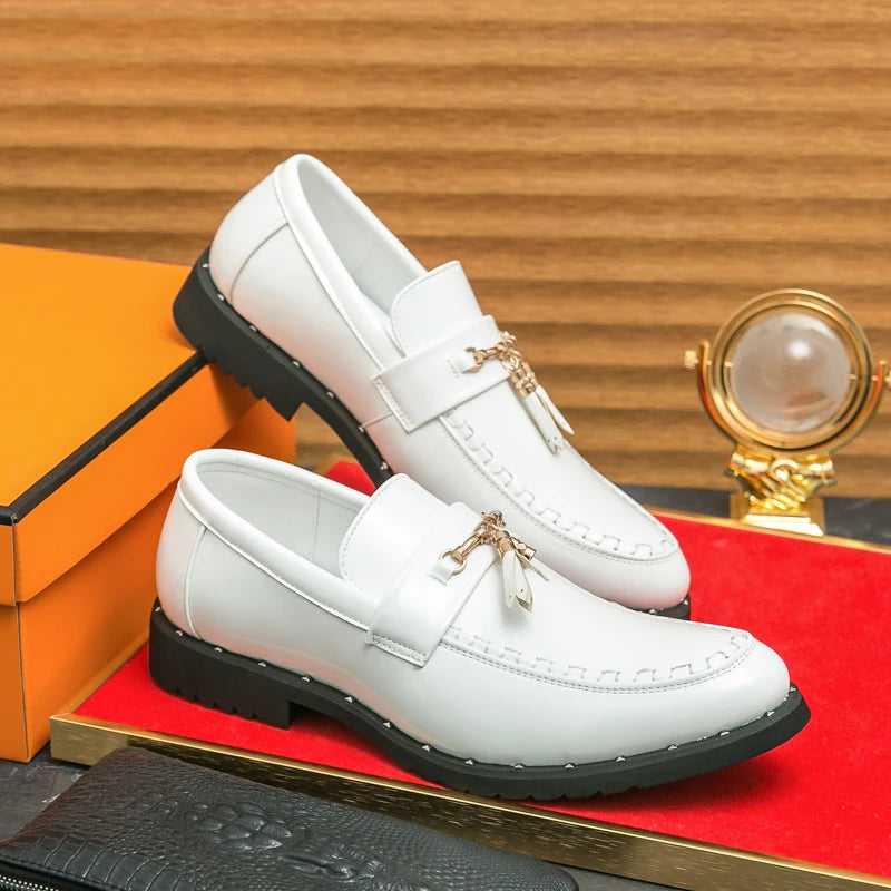 Loafers Tassel Fashion Leather Casual Shoes for Men
