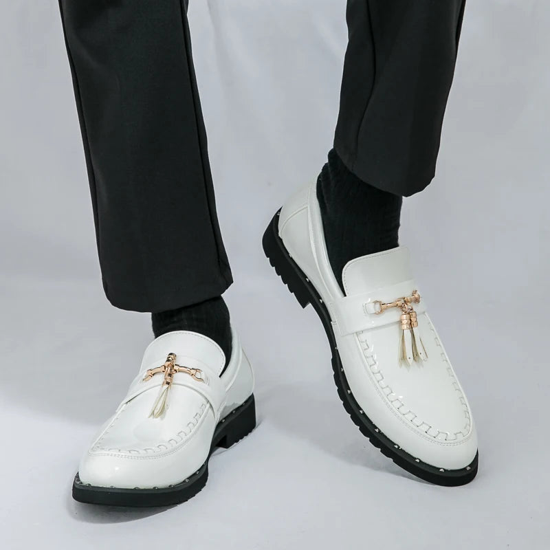 Loafers Tassel Fashion Leather Casual Shoes for Men