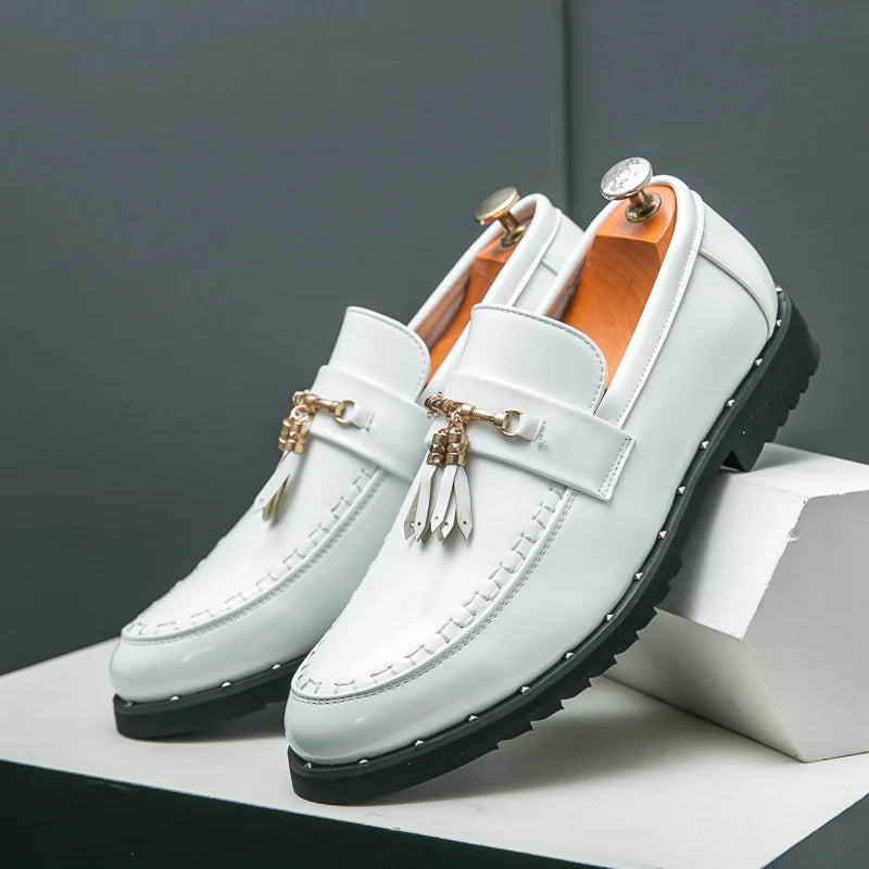 Loafers Tassel Fashion Leather Casual Shoes for Men