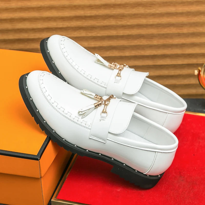 Loafers Tassel Fashion Leather Casual Shoes for Men