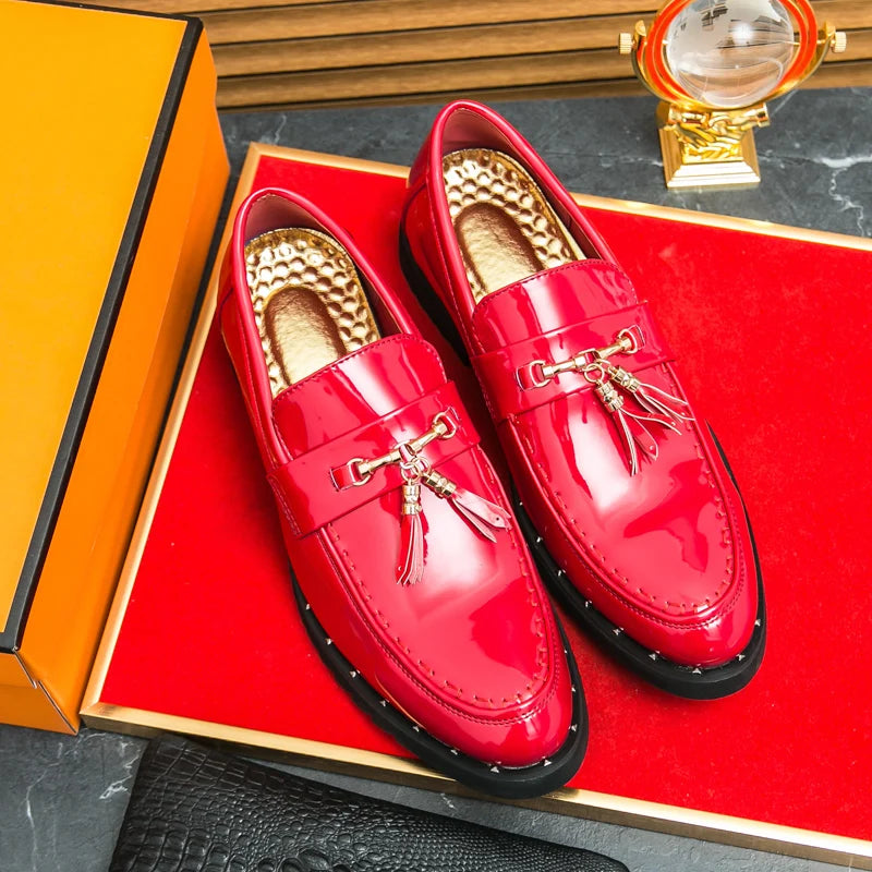 Loafers Tassel Fashion Leather Casual Shoes for Men