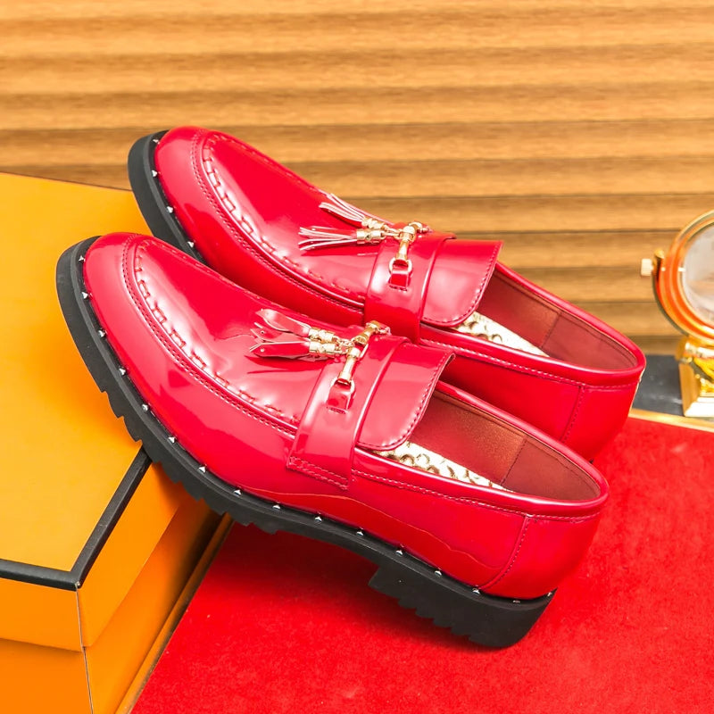 Loafers Tassel Fashion Leather Casual Shoes for Men