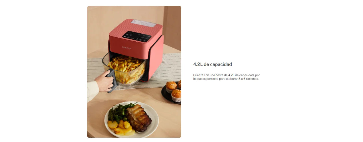 CREATE-Oil free fryer 4.2 L with water vaporizer-AIR FRYER MIST