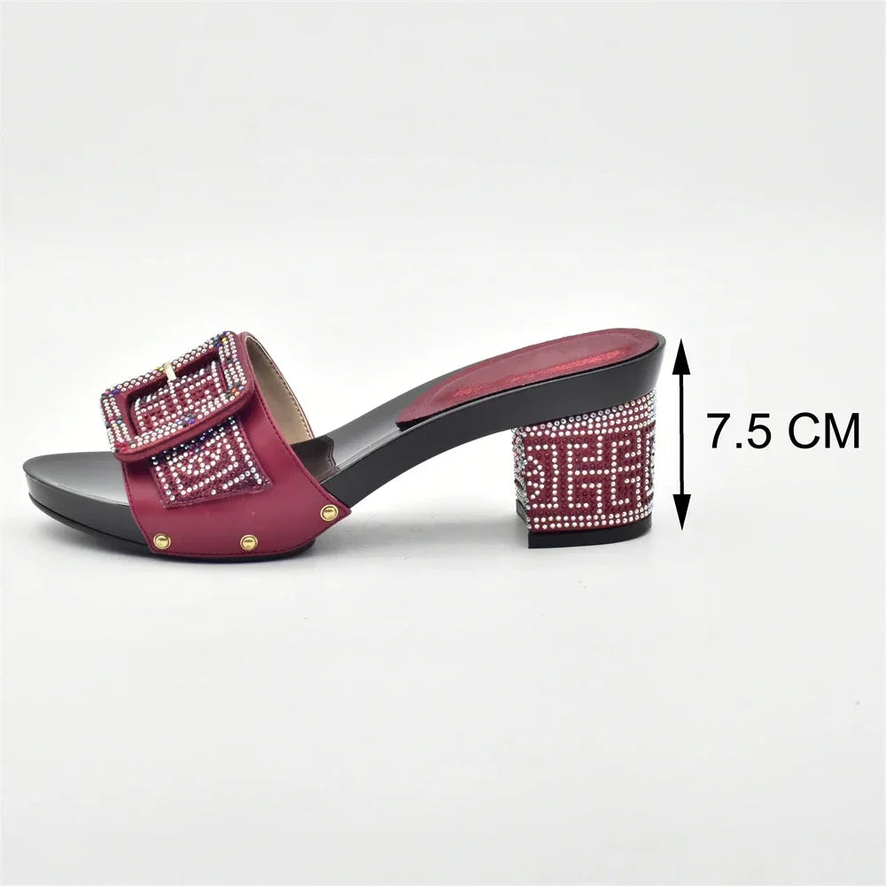 Wine Color Italian Shoes with Matching Bags