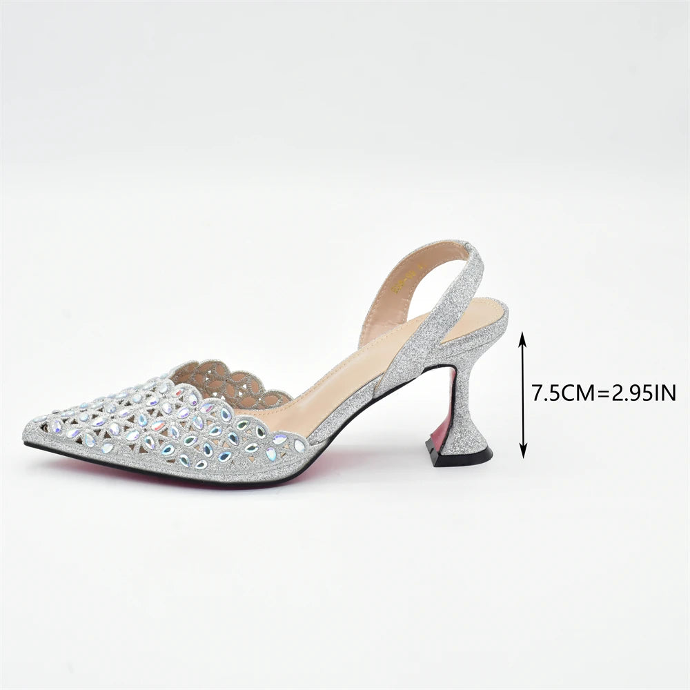 Silver Color Shoes and Bag for Party Wedding Luxery Women Shoe and Bag
