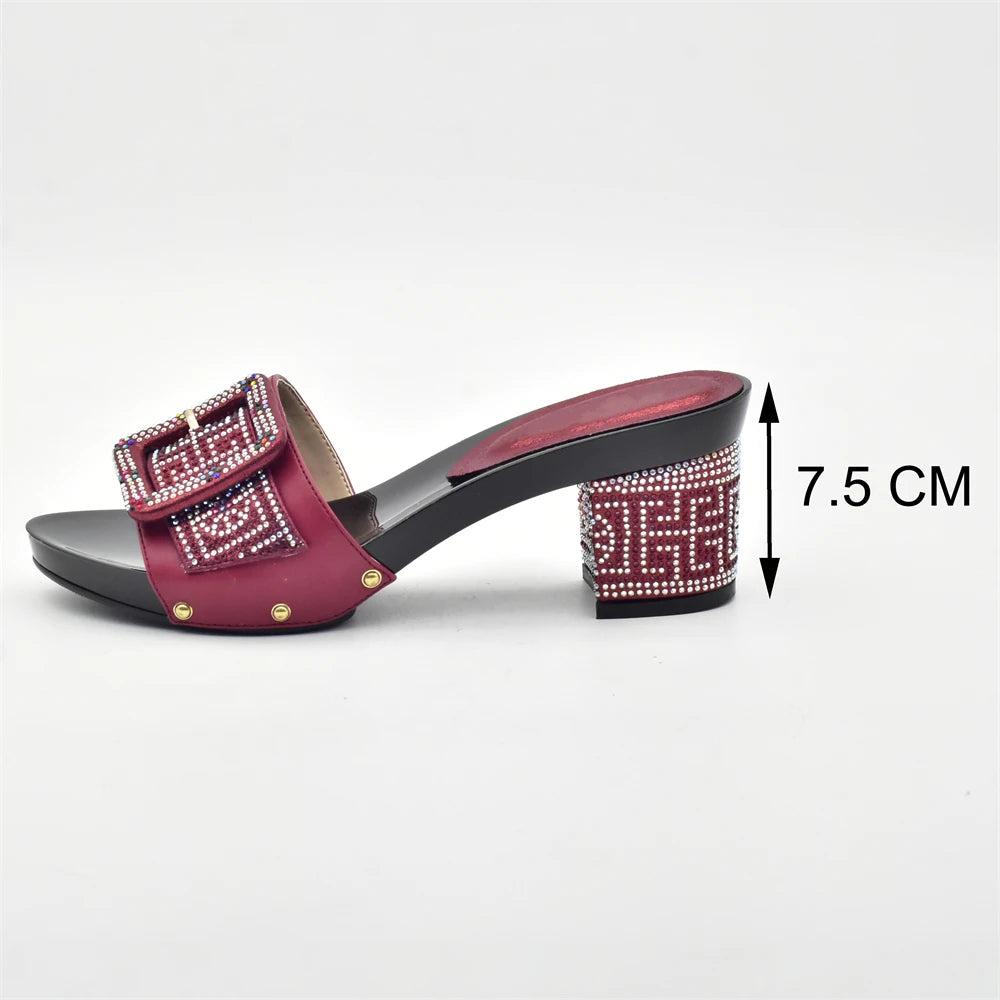 Wine Color Italian Shoes with Matching Bags