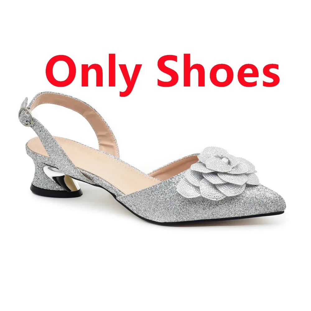 Ladies Shoe and Bag Set Latest Designers Luxury Italian Party Shoes and Bag