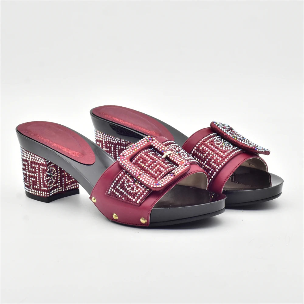Wine Color Italian Shoes with Matching Bags