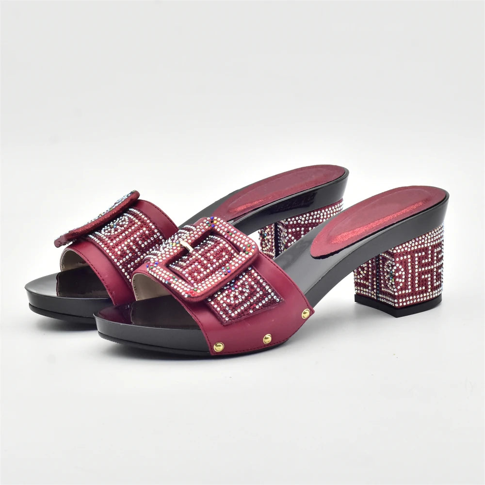 Wine Color Italian Shoes with Matching Bags