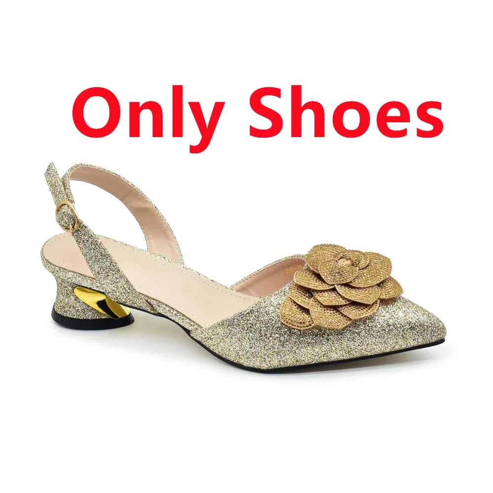 Ladies Shoe and Bag Set Latest Designers Luxury Italian Party Shoes and Bag