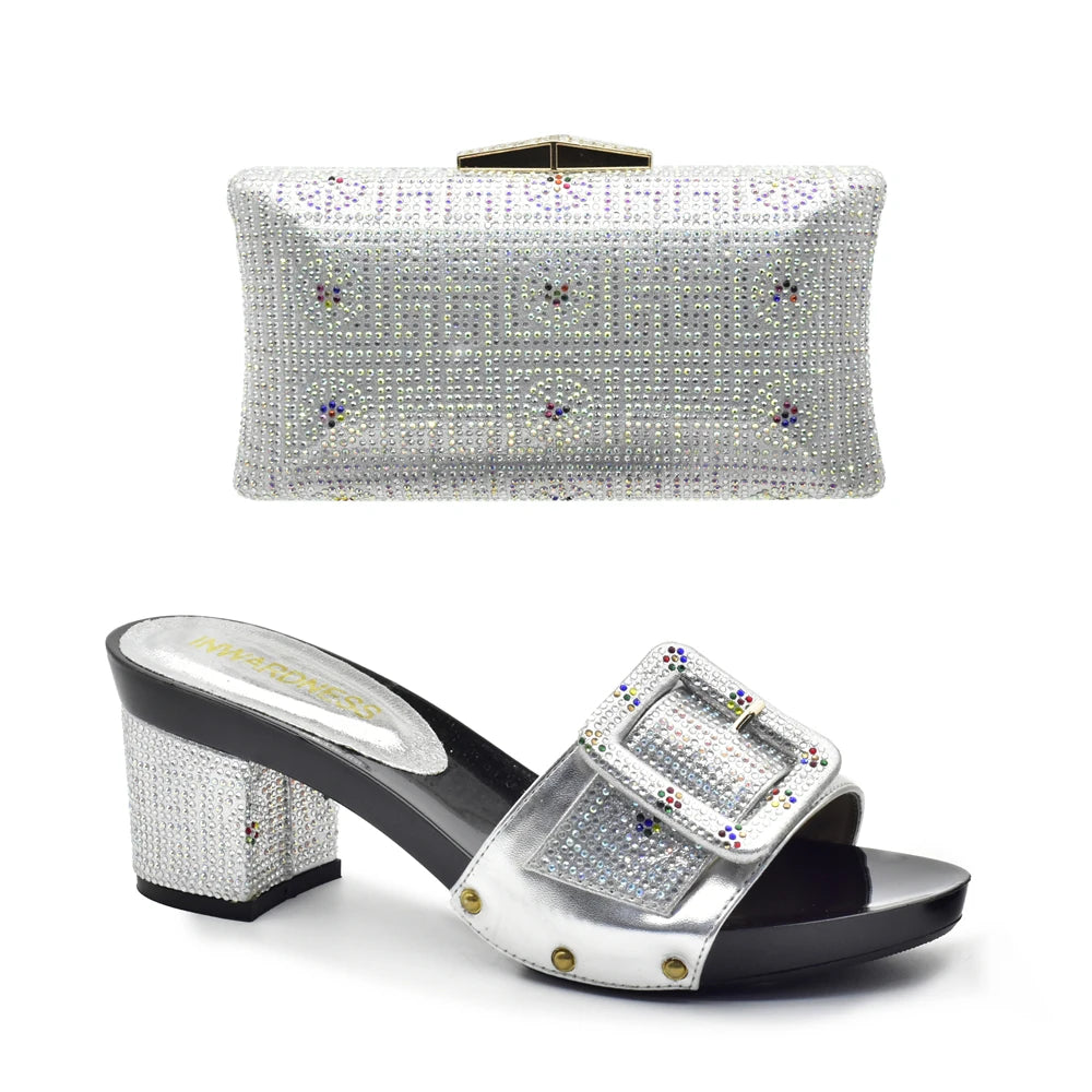 Wine Color Italian Shoes with Matching Bags