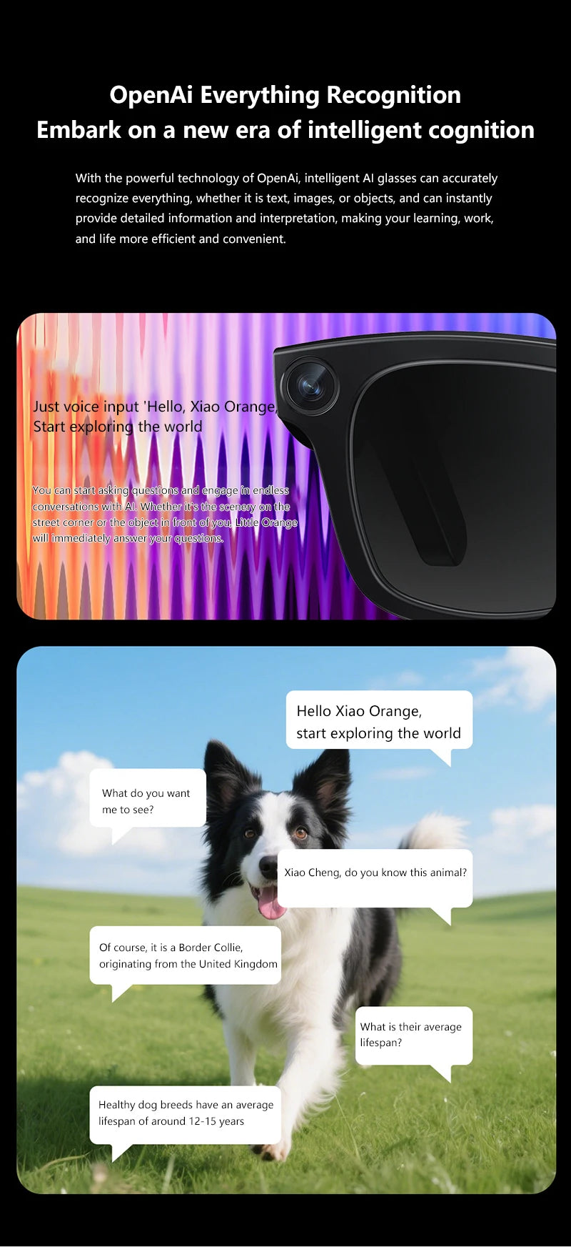 G300 Smart AI Glasses 800W pixel AI Shooting Camera HD Photo Video Voice Call Translation Waterproof Bluetooth Glasses