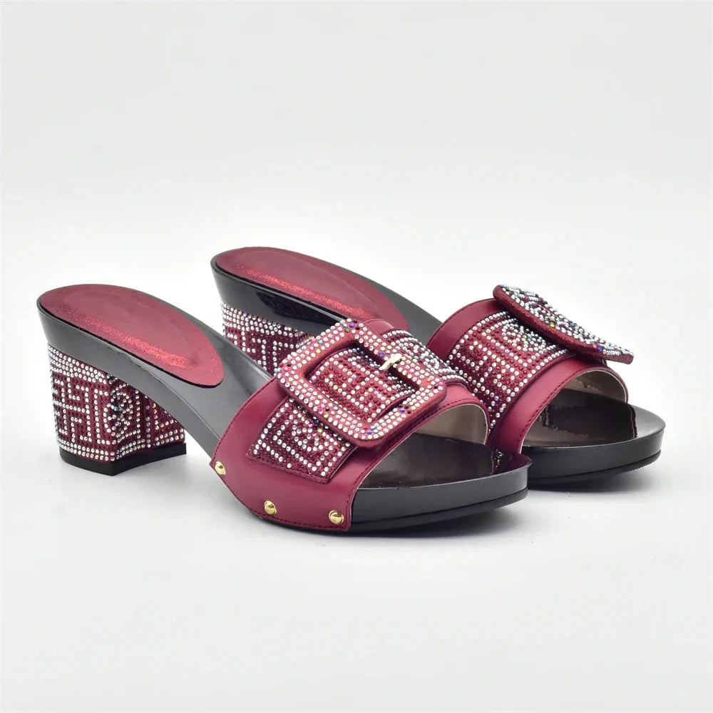Wine Color Italian Shoes with Matching Bags