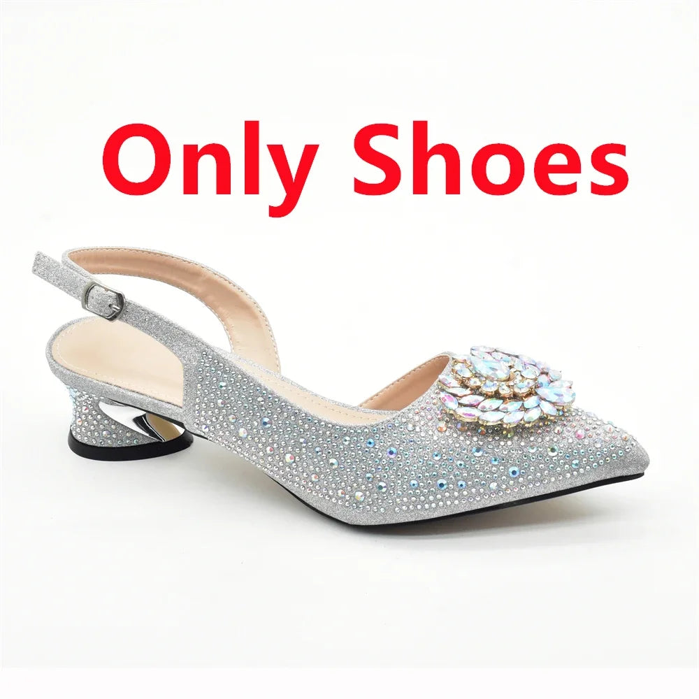 Luxury Designer Silver Italian Matching Shoes and Bag Set