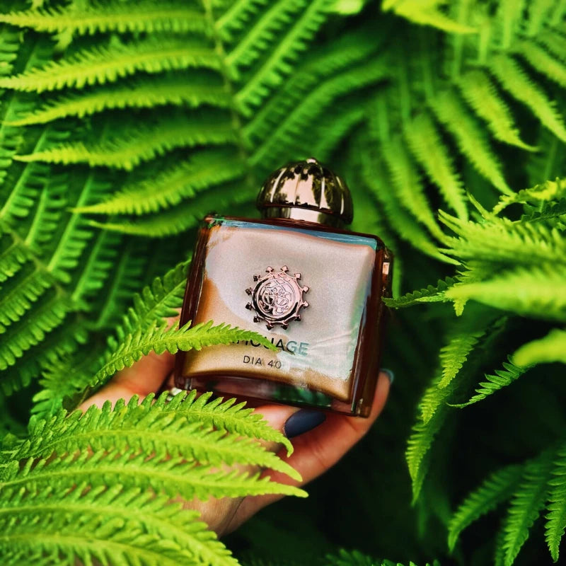 Unisex & Women’s Perfume Set 100ml – Long-Lasting