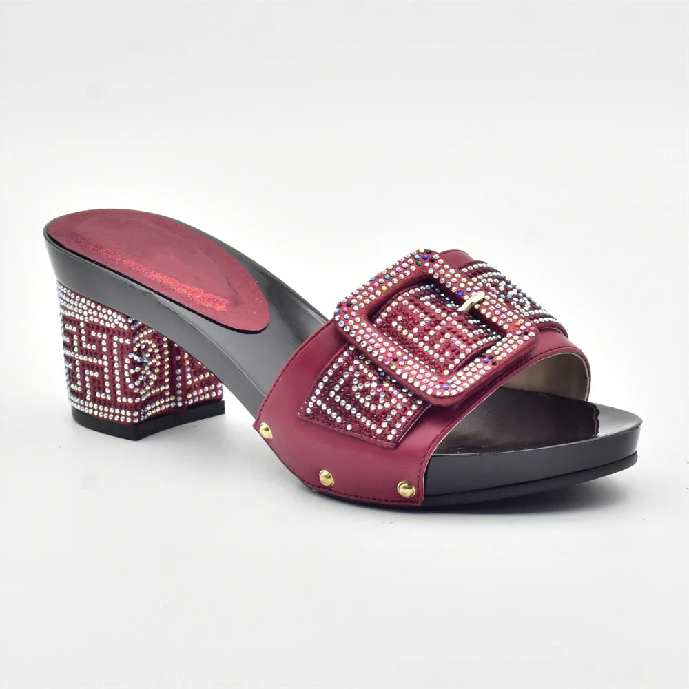 Wine Color Italian Shoes with Matching Bags