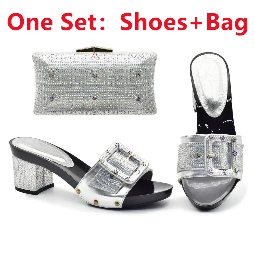 Wine Color Italian Shoes with Matching Bags